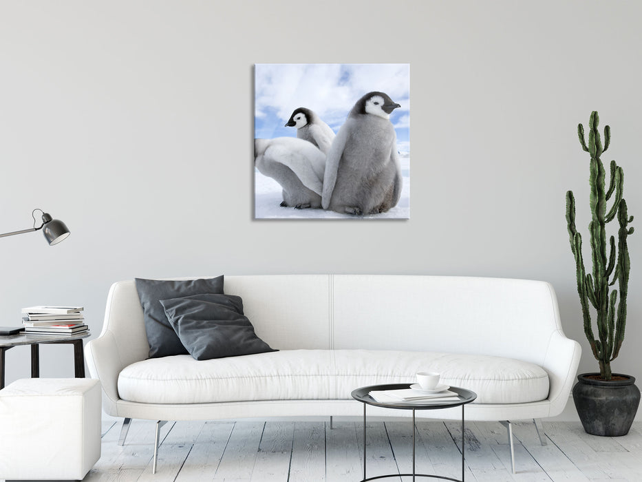 Kaiserpinguin Gruppe, Glasbild Quadratisch