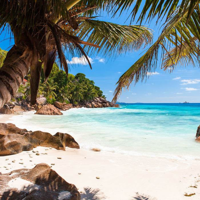 Palmenstrand Seychellen, Glasbild Quadratisch