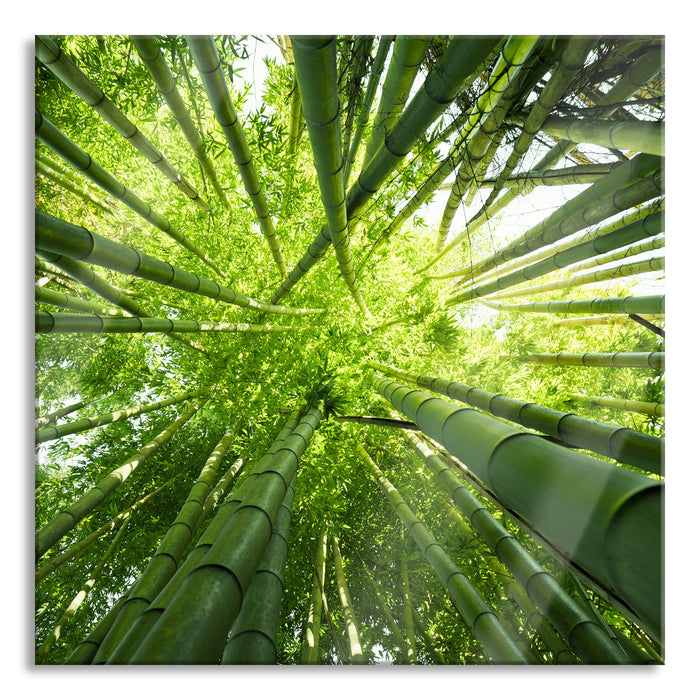 Pixxprint Grüner Bambus, Glasbild Quadratisch