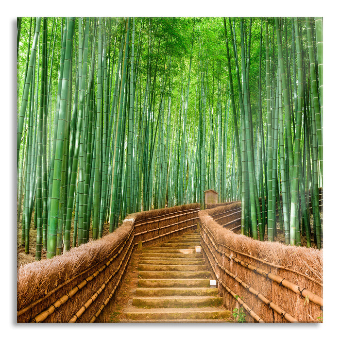 Pixxprint Kyoto Japan Bambuswald, Glasbild Quadratisch
