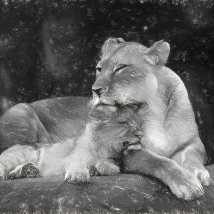 Löwe Löwenjungen, Glasbild Quadratisch