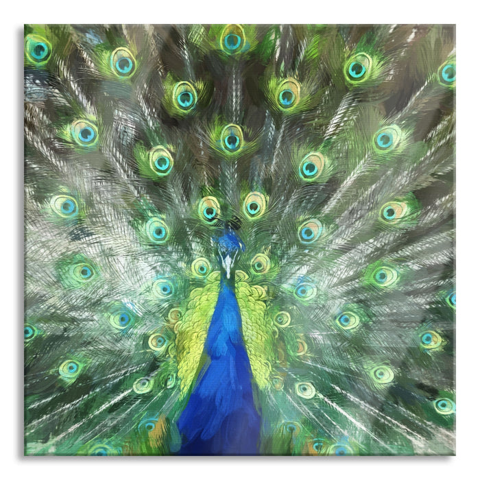 Pixxprint Pfau mit seinem Gefieder, Glasbild Quadratisch