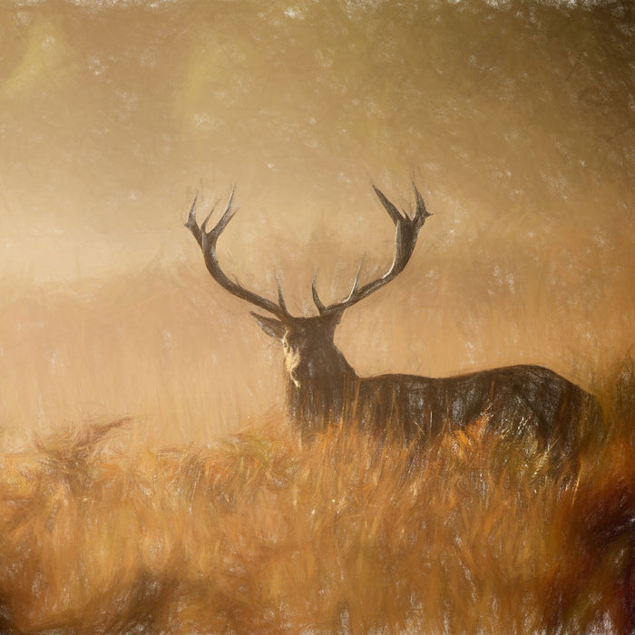 Rotwild Hirsch im Nebel , Glasbild Quadratisch