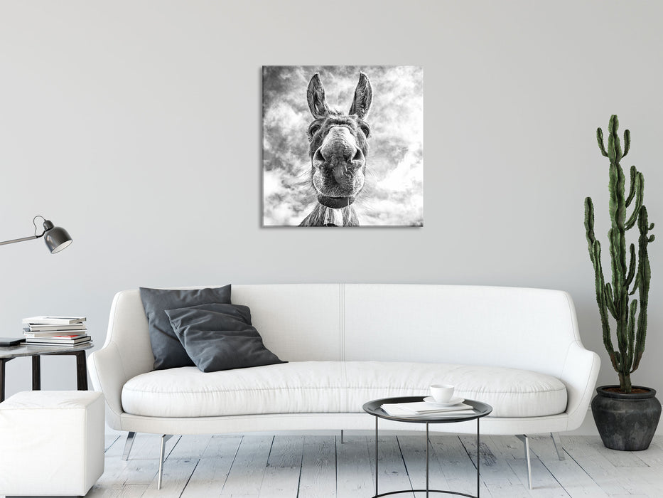 Lustiger Esel Kunst B&W, Glasbild Quadratisch