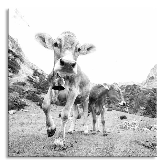 Pixxprint Almkuh auf der Weide Kunst B&W, Glasbild Quadratisch