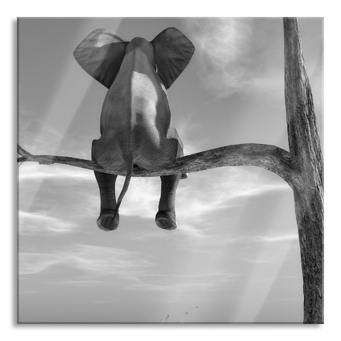 Elefant auf einem Ast in der Wüste, Glasbild Quadratisch