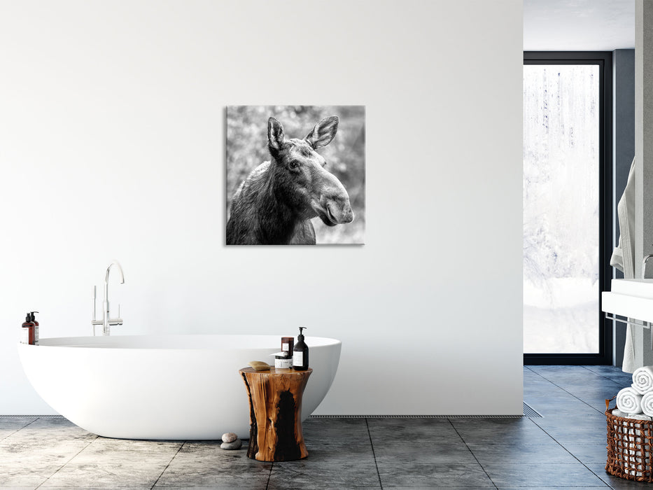 Elch im Wald Kunst B&W, Glasbild Quadratisch