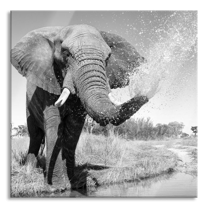 Pixxprint Elefant spritzt mit Wasser, Glasbild Quadratisch