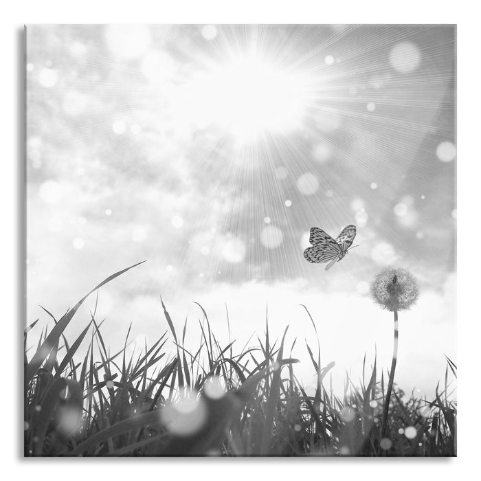 Pixxprint Schmetterling fliegt zu Pusteblume, Glasbild Quadratisch