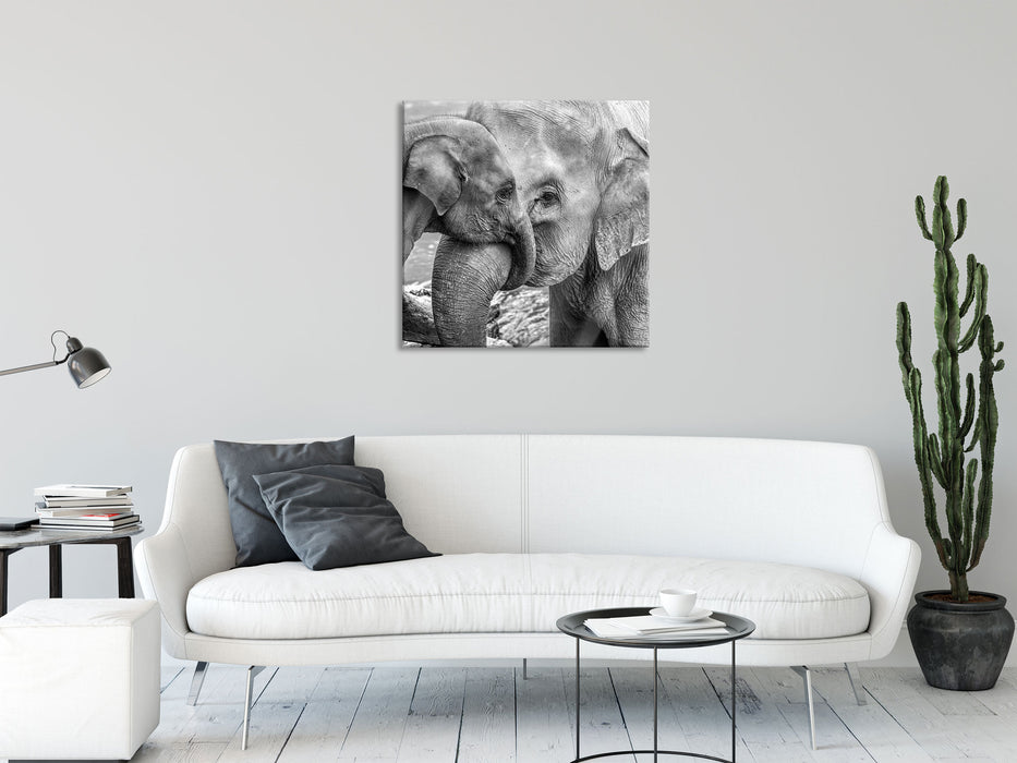 Elefantenmutter mit Kalb B&W, Glasbild Quadratisch