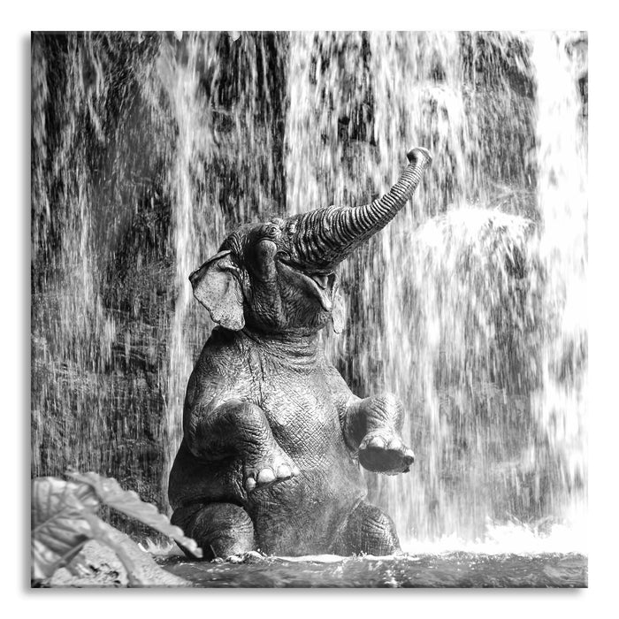 Babyelefant am Wasserfall, Glasbild Quadratisch