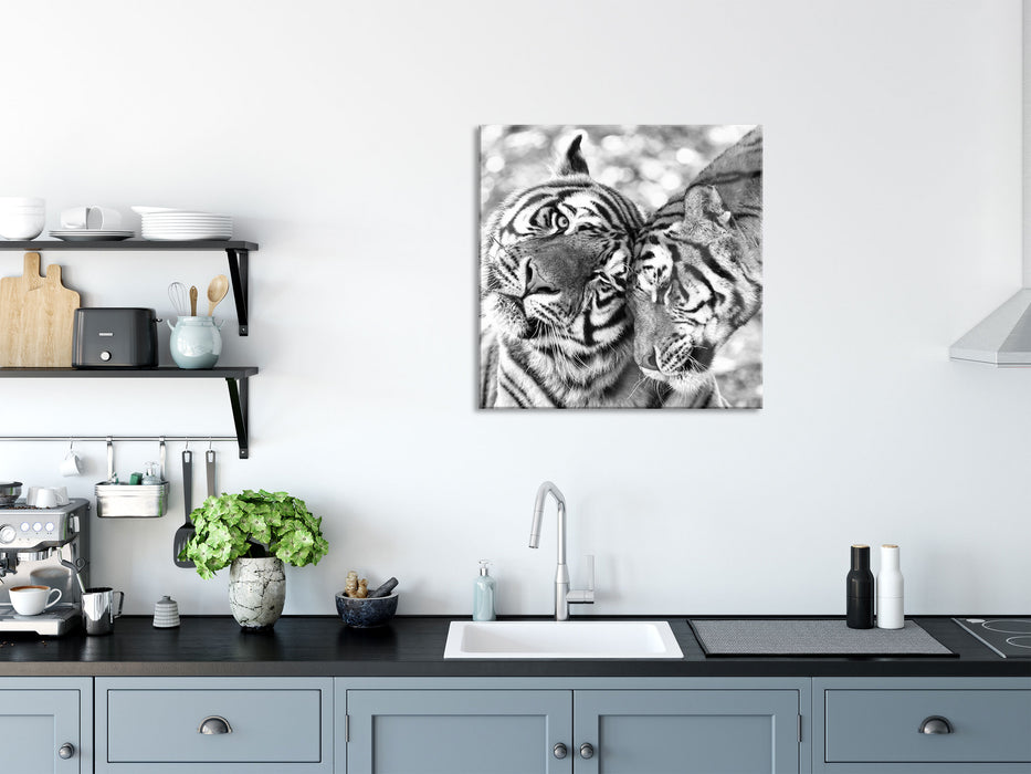 Zwei liebkosende Tiger Kunst B&W, Glasbild Quadratisch