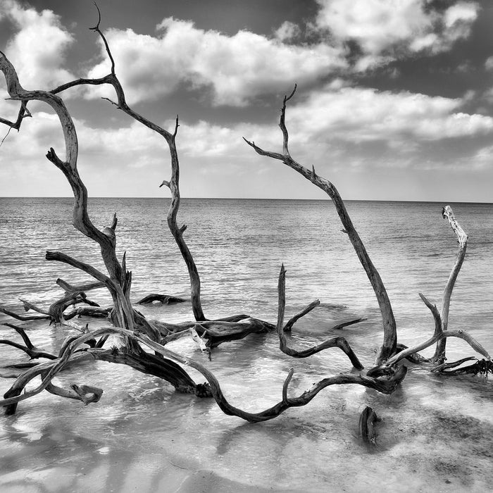 Strand Meer Havanna Kuba, Glasbild Quadratisch