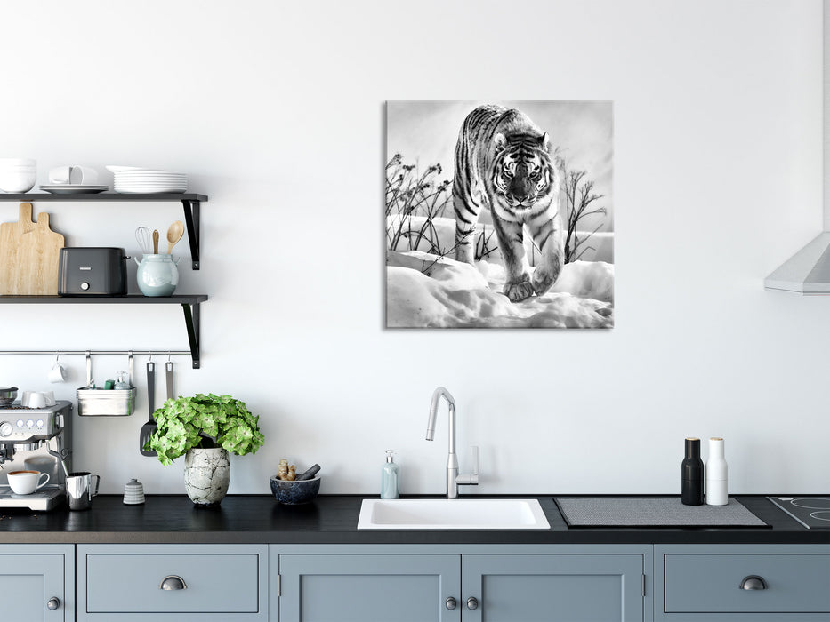 Tiger, Schnee, Glasbild Quadratisch