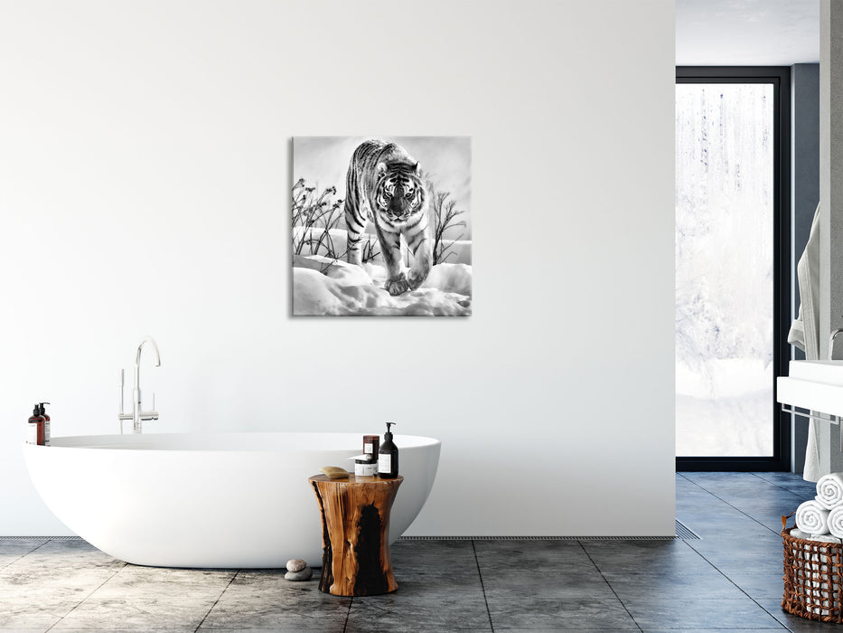 Tiger, Schnee, Glasbild Quadratisch