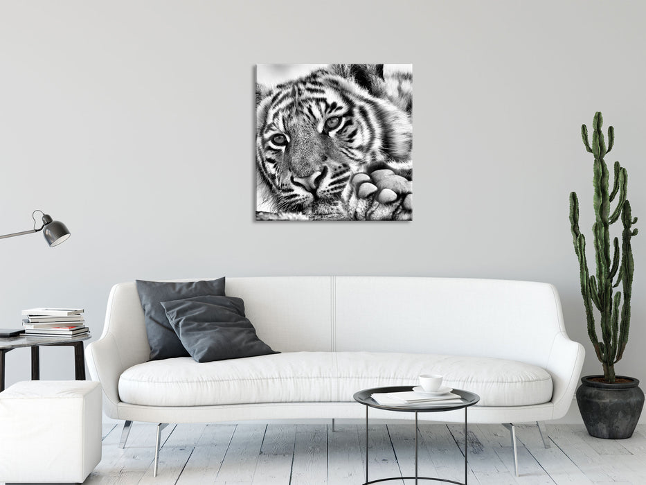 Tiger, Glasbild Quadratisch