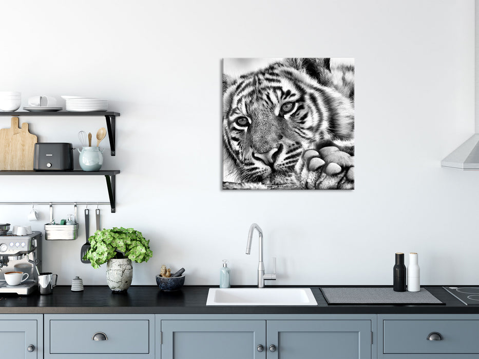 Tiger, Glasbild Quadratisch