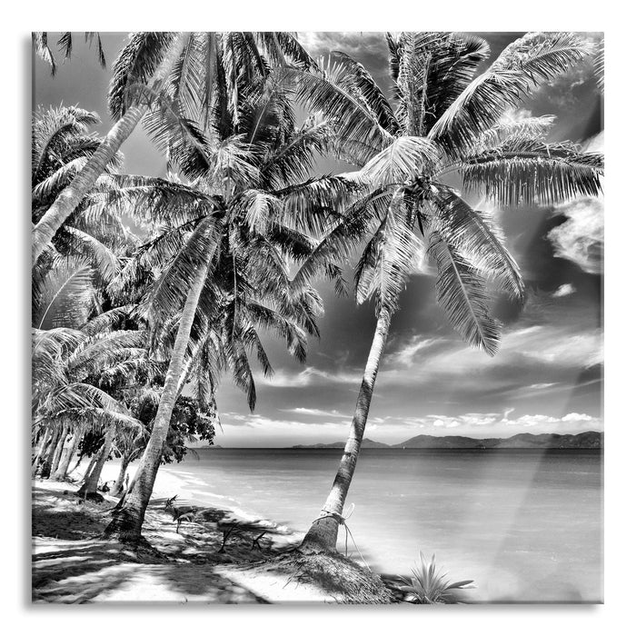 Pixxprint Palmen Traumstrand, Glasbild Quadratisch