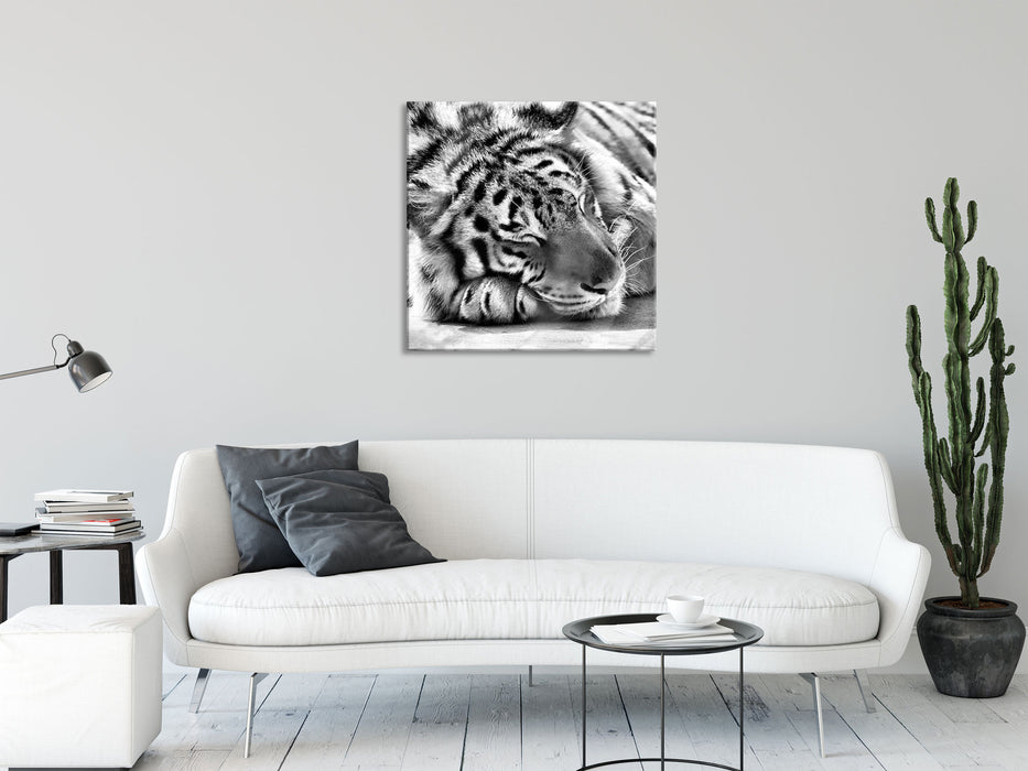 Verschlafener Tiger, Glasbild Quadratisch