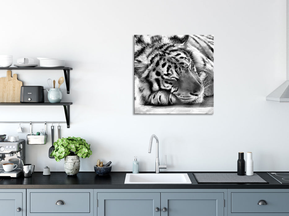 Verschlafener Tiger, Glasbild Quadratisch