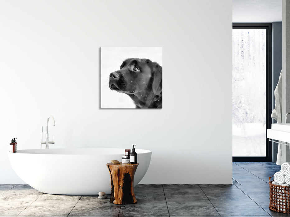 Schwarzer Labrador im Schnee, Glasbild Quadratisch