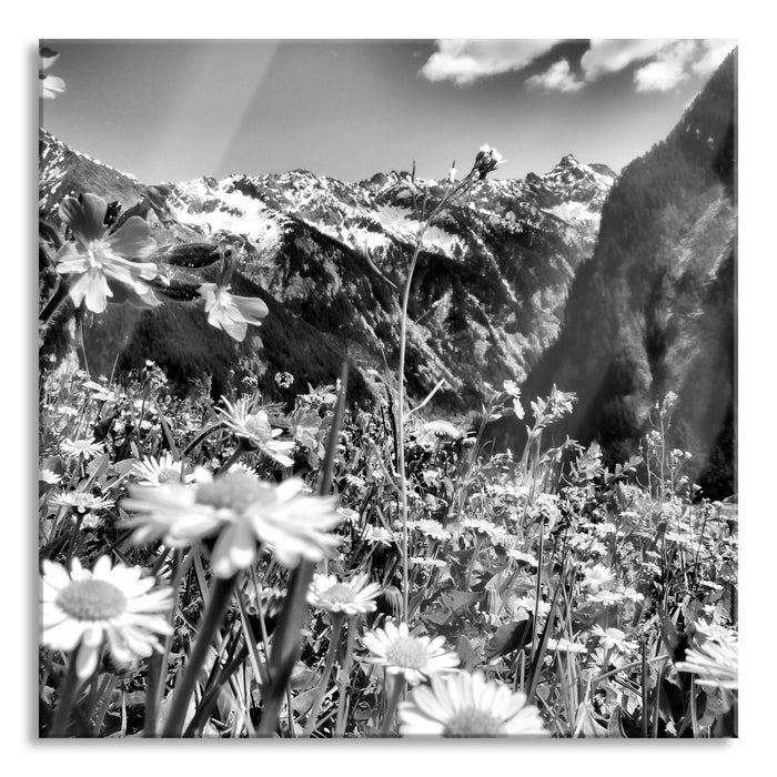 Wunderschöne Blumen Alpenwiese, Glasbild Quadratisch