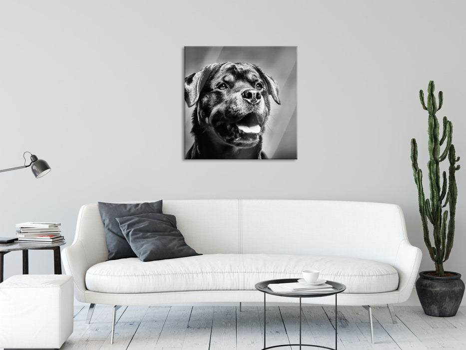 Treuer Rottweiler, Glasbild Quadratisch