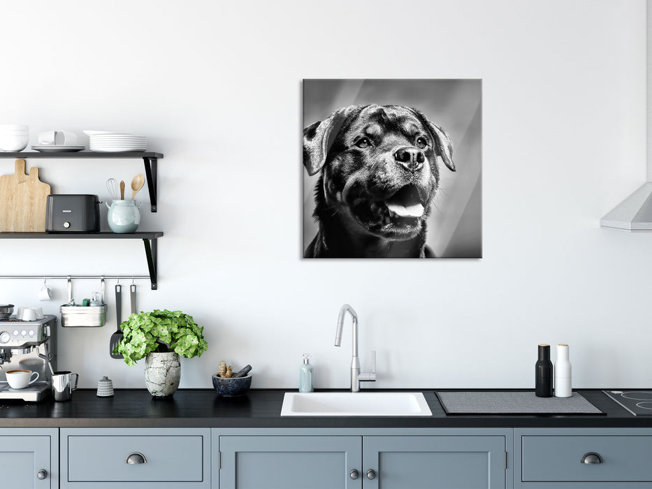 Treuer Rottweiler, Glasbild Quadratisch