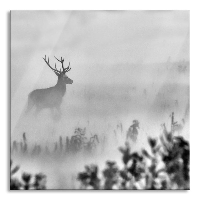 Hirsch im Nebel, Glasbild Quadratisch