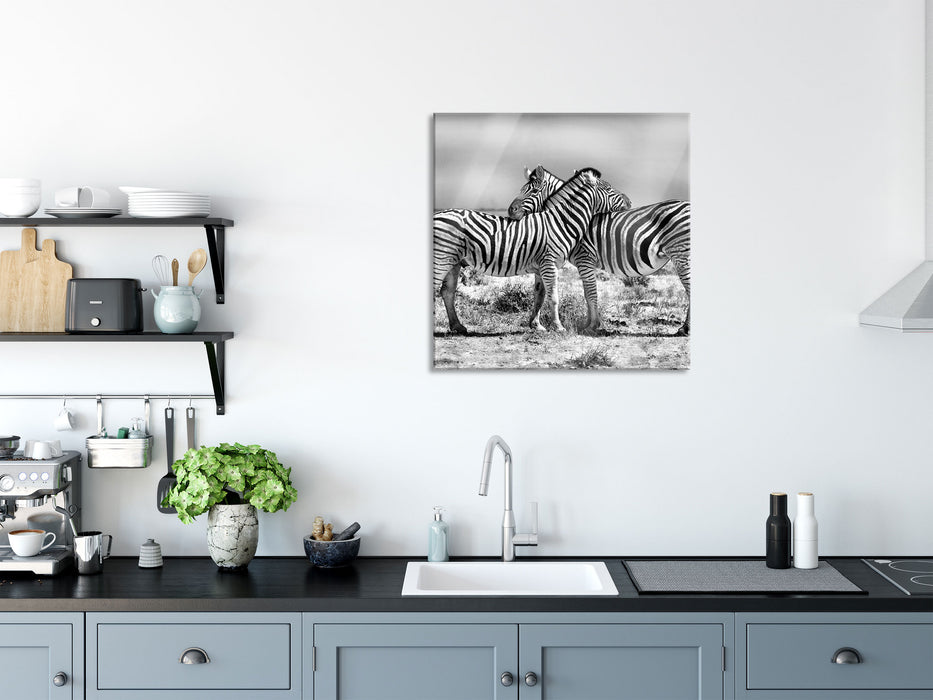 Schmusende Zebras, Glasbild Quadratisch