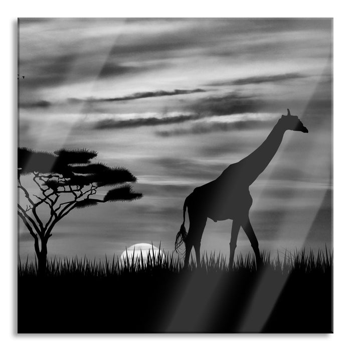 Giraffe im Sonnenuntergang, Glasbild Quadratisch