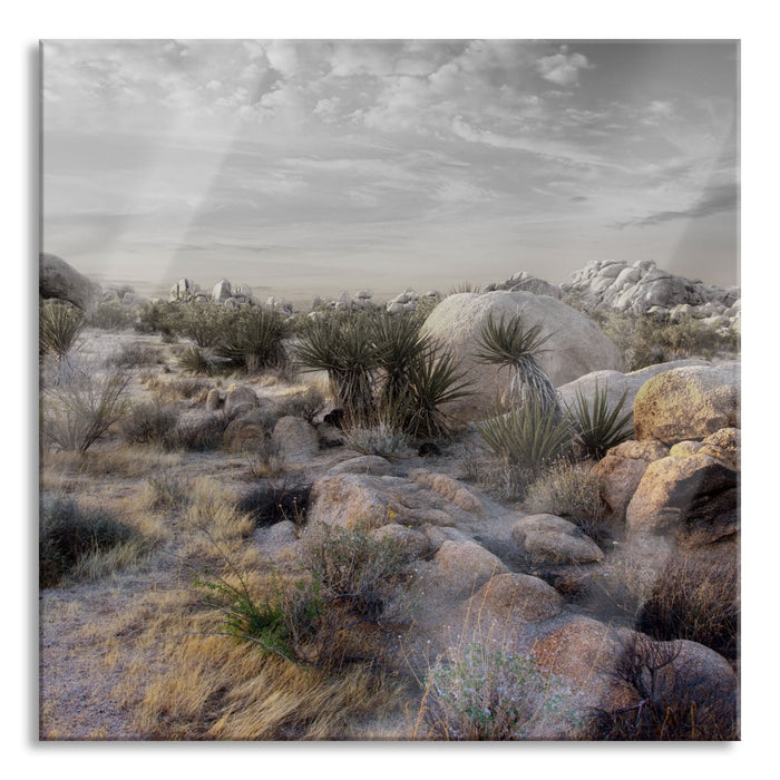 Joshua Wüste im Sonnenuntergang, Glasbild Quadratisch