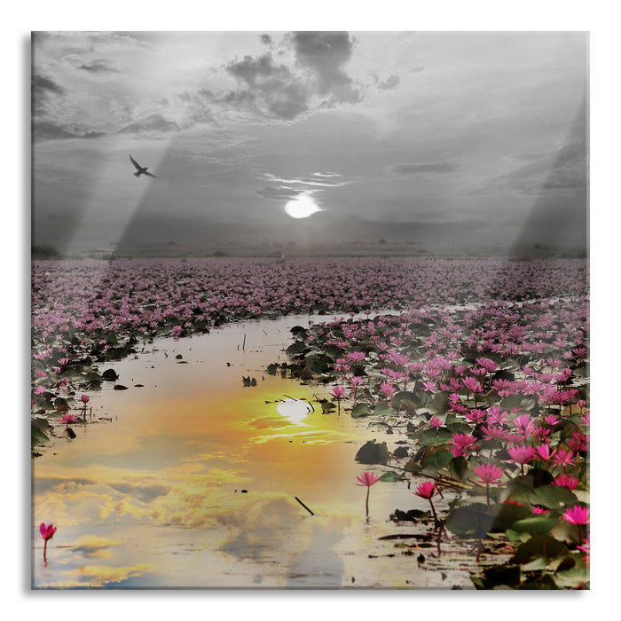 Lotusblüten am See, Glasbild Quadratisch
