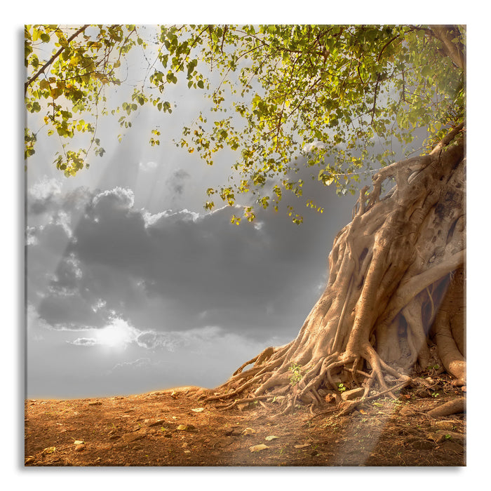 Pixxprint Baum, Glasbild Quadratisch