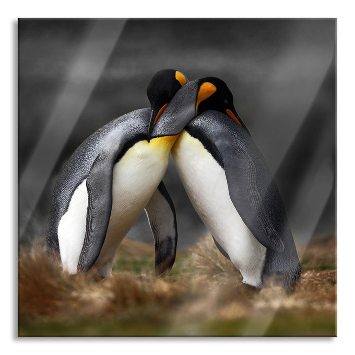 Pixxprint Pinguine in der Antarktis, Glasbild Quadratisch