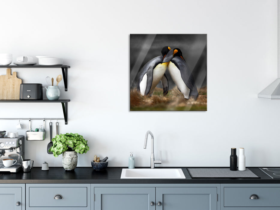 Pinguine in der Antarktis, Glasbild Quadratisch