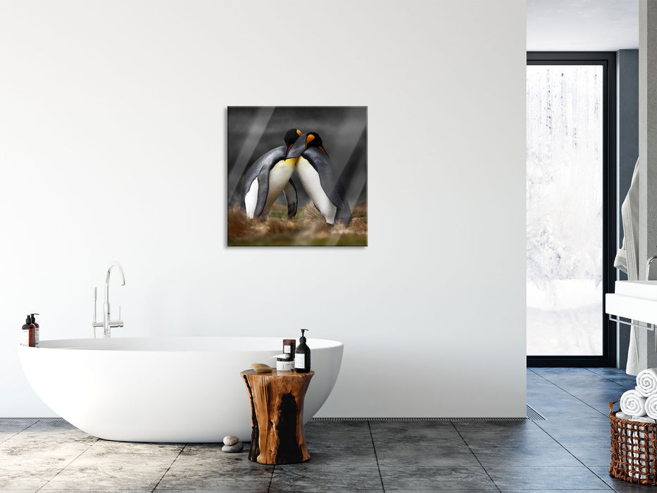 Pinguine in der Antarktis, Glasbild Quadratisch