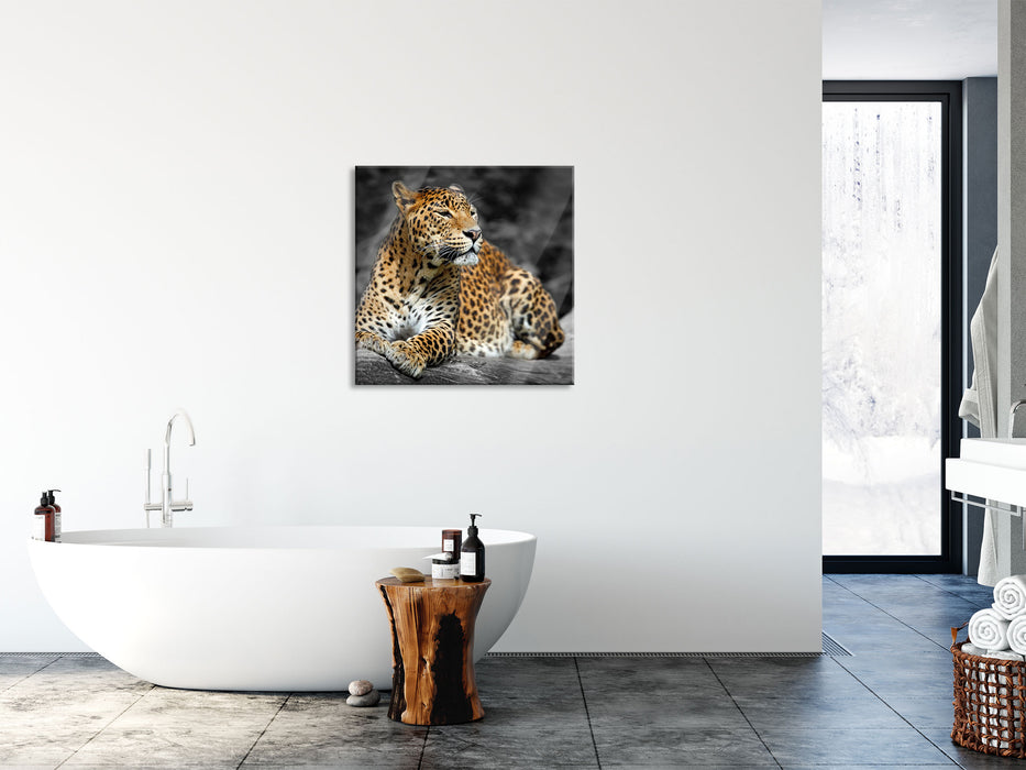 Wunderschöner Leopard in der Natur, Glasbild Quadratisch