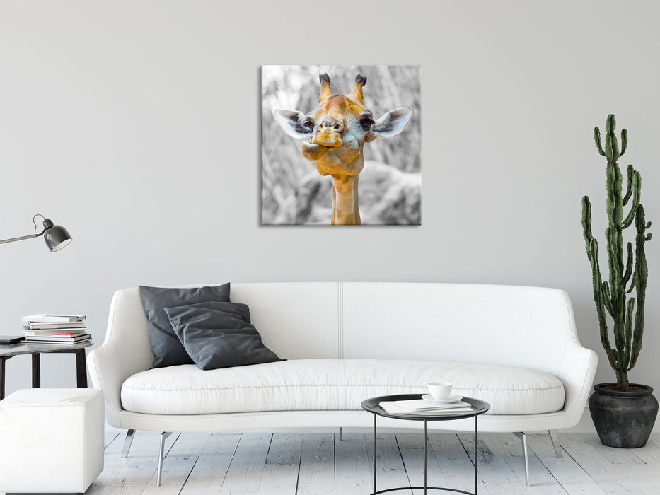 Giraffe in der Natur, Glasbild Quadratisch