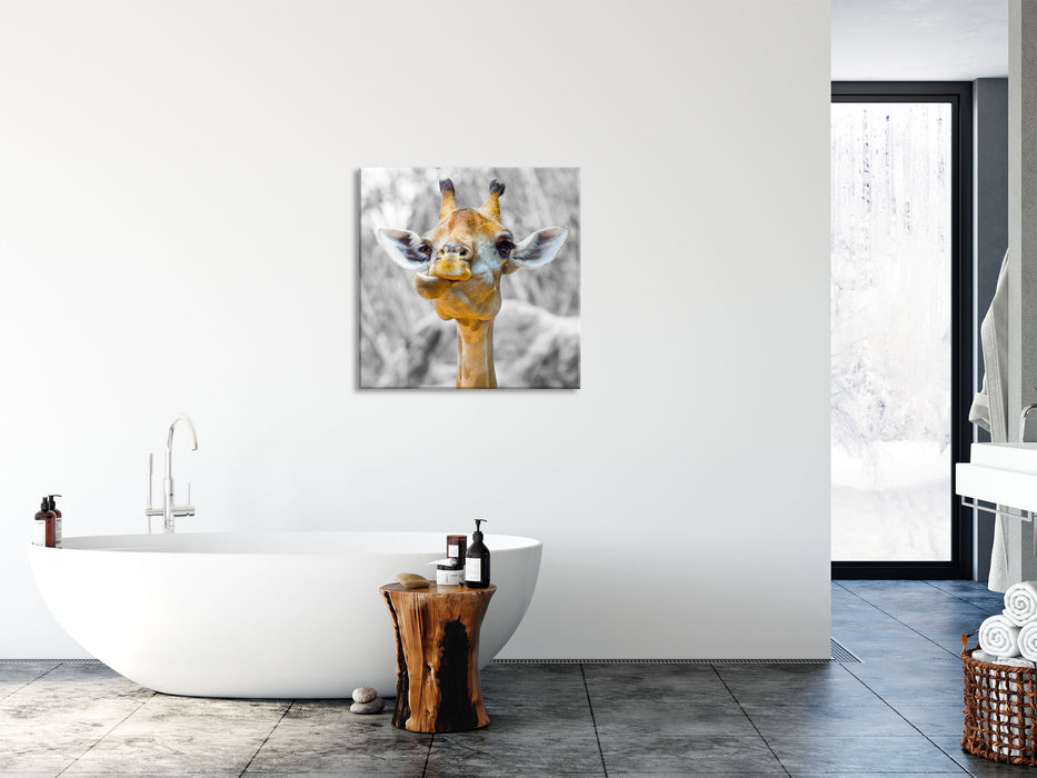 Giraffe in der Natur, Glasbild Quadratisch