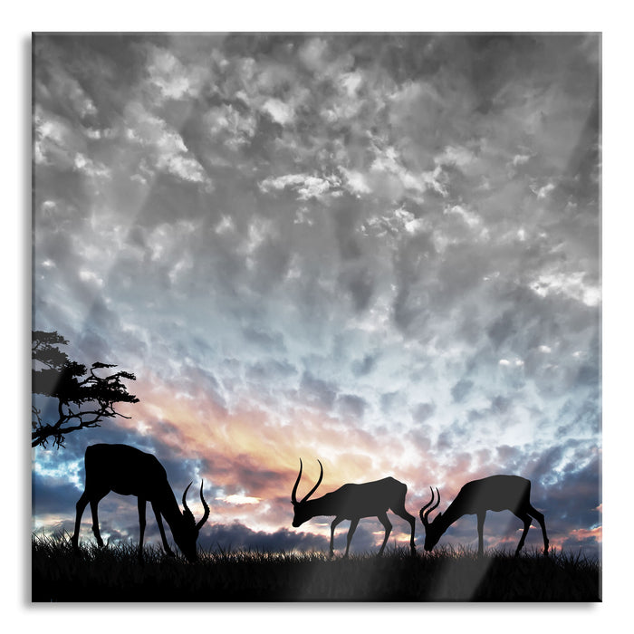 Pixxprint Tiere in der Natur, Glasbild Quadratisch