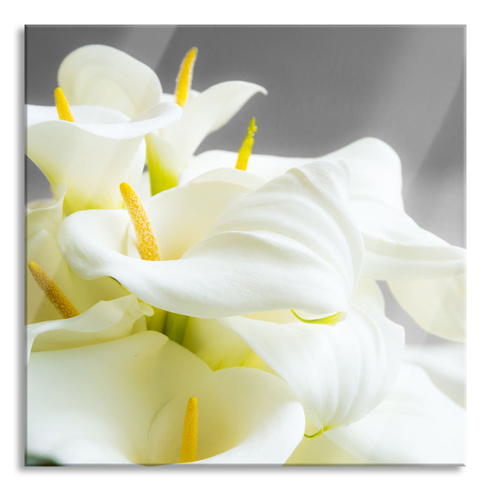 Pixxprint Wunderschöne weiße Calla Lilien, Glasbild Quadratisch