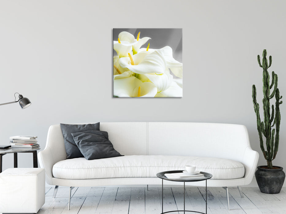 Wunderschöne weiße Calla Lilien, Glasbild Quadratisch