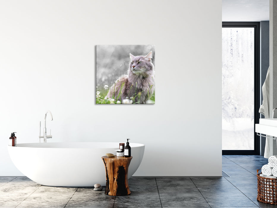 Katze in der Wildnis, Glasbild Quadratisch