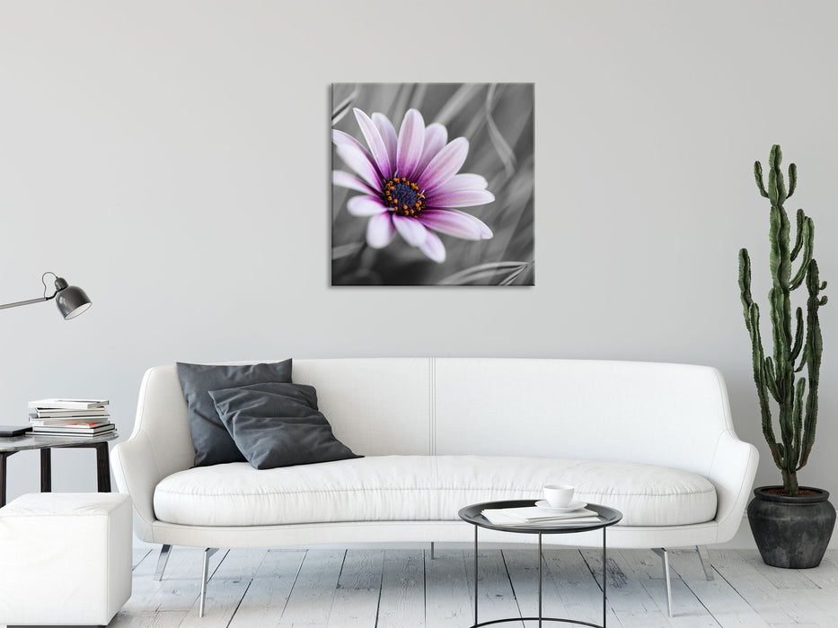 Blume in der Natur, Glasbild Quadratisch