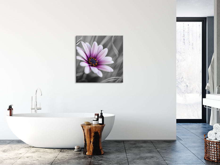 Blume in der Natur, Glasbild Quadratisch