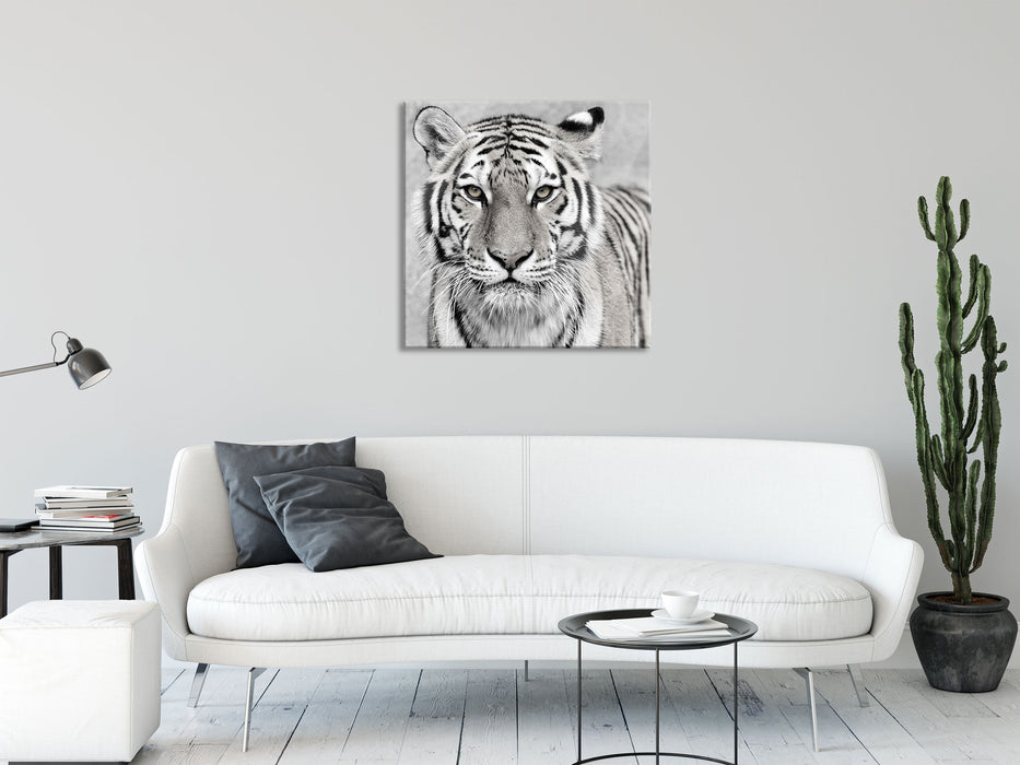 Anmutiger Tiger in, Glasbild Quadratisch