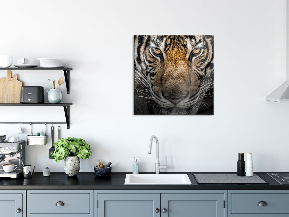 Tiger mit hellbraunen Augen, Glasbild Quadratisch