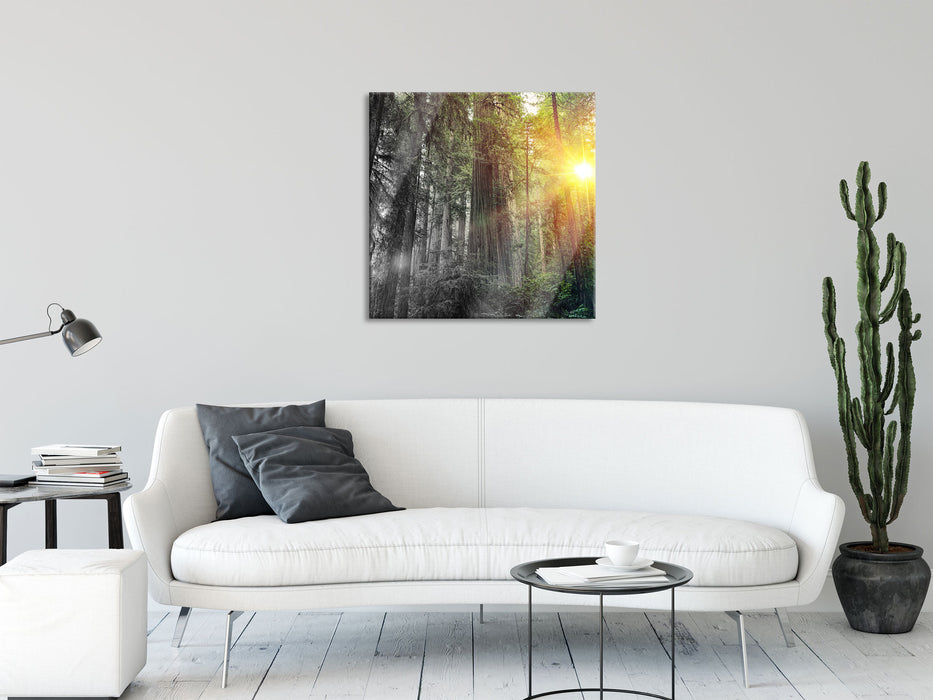 Wald bei Sonnenlicht, Glasbild Quadratisch