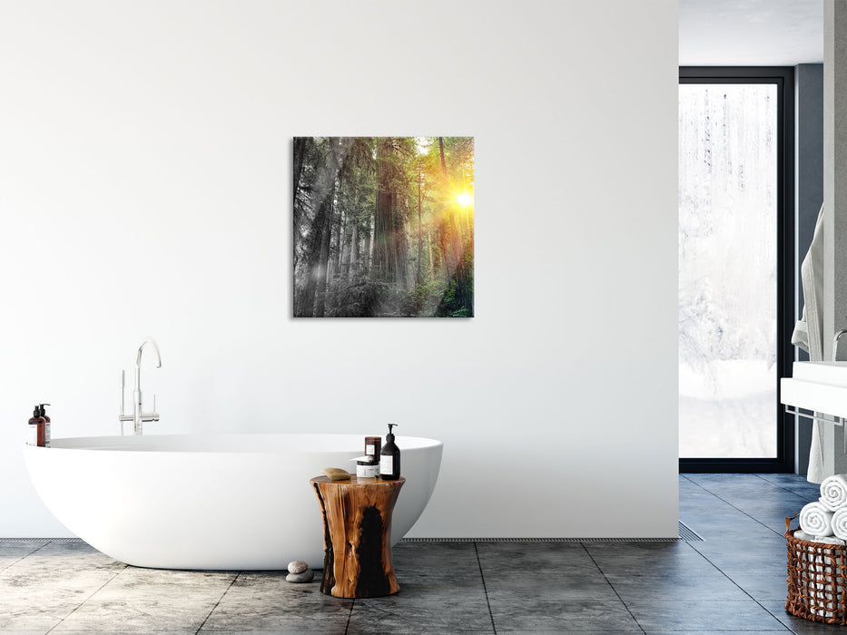 Wald bei Sonnenlicht, Glasbild Quadratisch